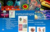 inmunologia, introducción, inmunidad innata