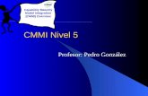 CMMI Nivel 5