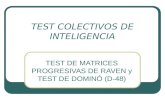 Test Colectivos de Inteligencia