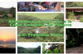 Alternativas Solucion Crisis Ambiental Panama
