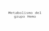Metabolismo Del Grupo Hemo
