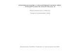 Producción y ecofisiología del trasplante hortícola
