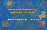 Clase 2 Proceso Inflamatorio y regeneración de tejido