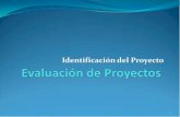 Identificación y definición del proyecto