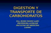Digestio y Transporte de Carbohidratos
