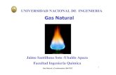 Gas Natural Aplicaciones y Procesamiento