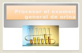 Procesar El Examen General de Orina (EGO