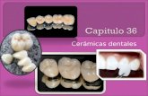 ceramicas dentales