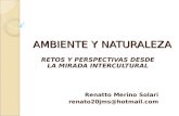 Ambiente y Dr Renato Merino Solari 22.02.10