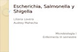 Escherichia Salmonella y Shigella