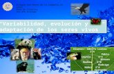Evolucion Variabilidad y Especiacion