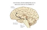 Adiccion / Neuropsicología