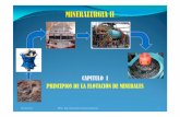 CAPITULO I PRINCIPIOS DE FLOTACION DE MINERALES