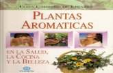 Plantas aromaticas: En la salud, la cocina, la belleza