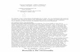 Tratado Enciclopedico de Baba Ejiogbe