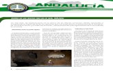 Resultados Andalucia Explora 2009