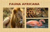 Fauna Africana