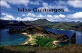 Isla Galápagos