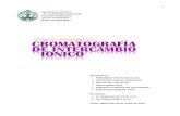 Informe Cromatografia de Intercambio Ionico