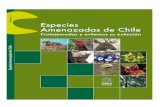 Especies Amenazadas de Chile