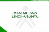 Manual DNS Linux Ubuntu