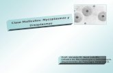 Clase 12. Generos Mycoplasma y Urea Plasma 2009.