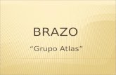 Anatomia Brazo (Resumen)