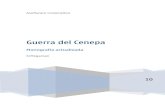 Guerra del Cenepa (1995) • Monografía (V1.0 sin seguridad)
