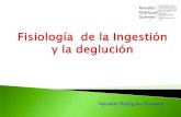 Fisiologia de La Ingestion y Deglucion