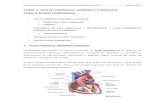 Ciclo Cardiaco Dinamica Circulacion Coronaria