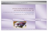 Antologia Psicologia Del Aprendizaje II
