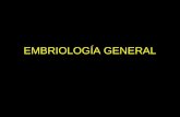 Embriología general