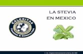 Presentacion Status Stevia Mexico Susana Valdez