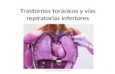 Trastornos torácicos y vías repiratorias inferiores