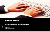 Ejercicios Prácticos Excel 2003