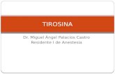 TIROSINA Dr Miguel Angel Palacios