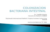 Colonizacion Bacteriana de la Mucosa Intestinal