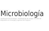 Micologia Clasificacion Morfologia y Diagnostico