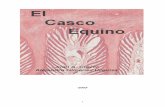 EL CASCO EQUINO 2005