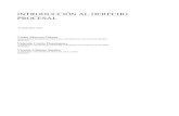 Libro Introduccion-Derecho-procesal 4 Edicion 2003