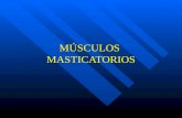 Músculos  masticatorios