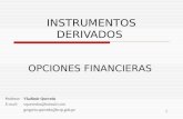 Instrumentos Derivados Opciones Financieras I
