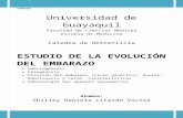 ESTUDIO DE LA EVOLUCIÓN DEL EMBARAZO