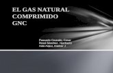 GNV Gas Natural Comprimido