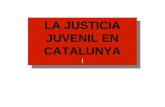 La Justicia Juvenil en Catalunya4845