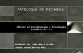 Patología de Fachadas Renata Herrero