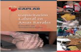 Capacitación Laboral en Áreas Rurales: Estudio de Sistematización