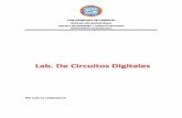 Practicas Circuitos DIgitales-Luis Urdaneta