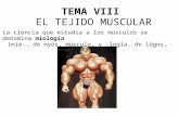 Tema Viii: El Tejido Muscular
