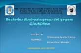 1. Bacterias Disolventogenas Del Genero Clostridium